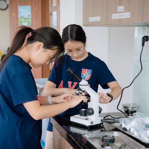 AVE Academy Cambridge Curriculum